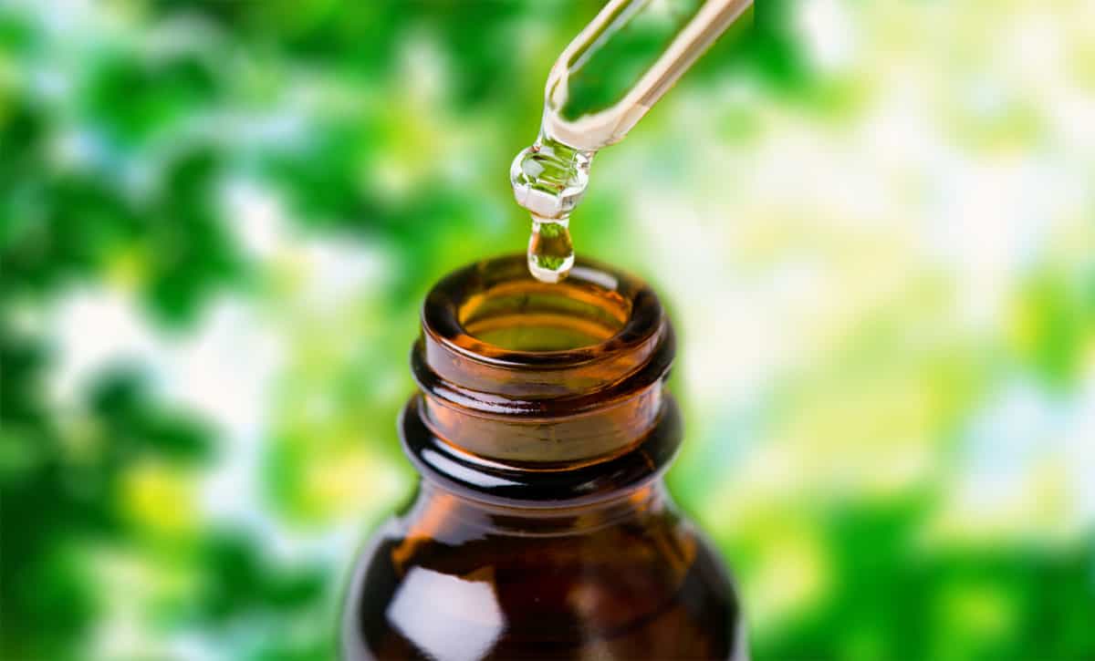 Wat is CBD olie en hoe wordt het gemaakt?